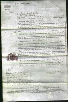 Court of Common Pleas - Rose Addy Candelet-Original Ancestry