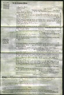 Court of Common Pleas - Helen Lucy Hinchliff, Jane Emily Turner, Charlotte Elizabeth Bottomley and Hannah Sophia Farrar-Original Ancestry