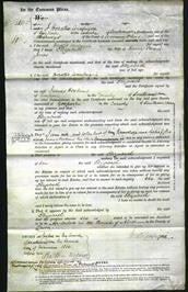 Court of Common Pleas - Elizabeth Jones-Original Ancestry