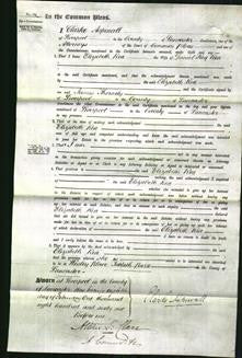 Court of Common Pleas - Elizabeth Rea-Original Ancestry