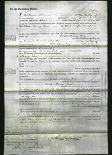 Court of Common Pleas - Mary Ann Simpson-Original Ancestry