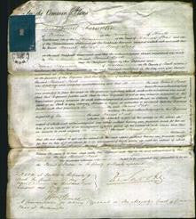 Court of Common Pleas - Harriet Ford-Original Ancestry