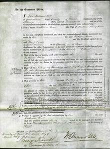 Court of Common Pleas - Katherine Hoare-Original Ancestry