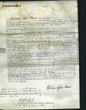 Court of Common Pleas - Amelia Frobisher-Original Ancestry