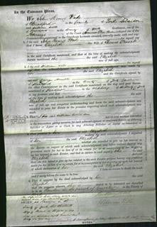 Court of Common Pleas - Elizabeth Peacock-Original Ancestry