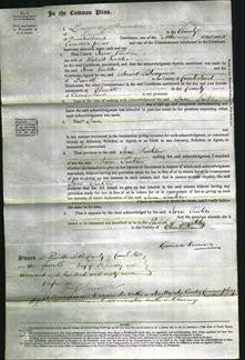 Court of Common Pleas - Jane Tinkler-Original Ancestry