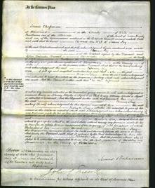 Court of Common Pleas - Eleanor Say-Original Ancestry