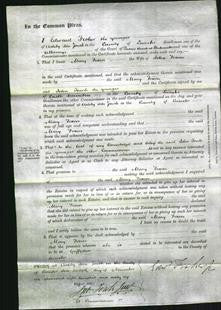 Court of Common Pleas - Mary Toxon-Original Ancestry