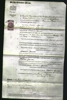 Court of Common Pleas - Amelia Spencer-Original Ancestry