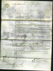 Court of Common Pleas - Mary Dyer-Original Ancestry