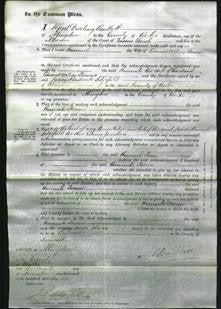 Court of Common Pleas - Hannah Farrow-Original Ancestry