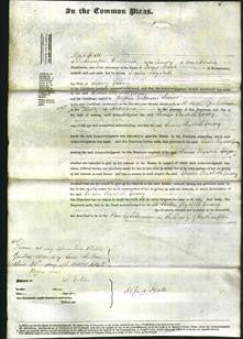 Court of Common Pleas - Louisa Elizabeth Gurney-Original Ancestry