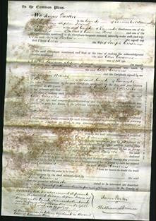 Court of Common Pleas - Ellen Erasimus-Original Ancestry