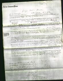 Court of Common Pleas - Eliza Field-Original Ancestry