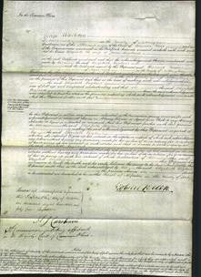 Court of Common Pleas - Elizabeth England-Original Ancestry