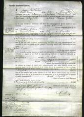 Court of Common Pleas - Elizabeth Yates-Original Ancestry