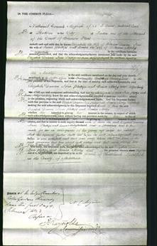 Court of Common Pleas - Elizabeth Dawson, Jane Phillips and Louisa Morley-Original Ancestry