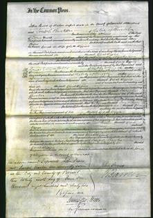 Court of Common Pleas - Dinah Biggins-Original Ancestry