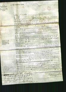 Court of Common Pleas - Caroline Worswick-Original Ancestry