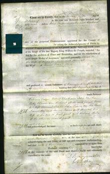 Deed by Married Women – Sarah Ann Mills, Hannah Travis-Original Ancestry