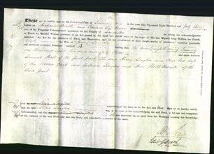 Deed by Married Women - Eliza Longton-Original Ancestry