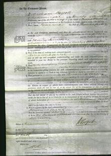 Court of Comon Pleas - Roseanna Carter-Original Ancestry