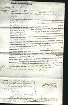 Court of Common Pleas - Eliza Longton-Original Ancestry