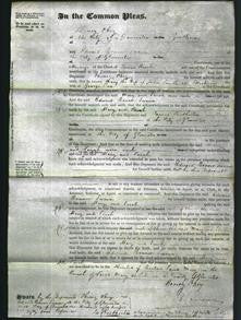 Court of Common Pleas - Mary Smith and Sarah Cox-Original Ancestry