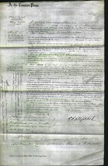 Court of Common Pleas - Louisa Anne Brownrigg-Original Ancestry