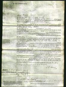 Court of Common Pleas - Mary Silence-Original Ancestry