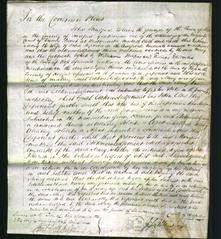 Court of Common Pleas - Mary Stephens-Original Ancestry