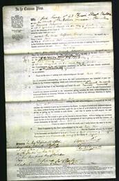 Court of Common Pleas - Jane Hill-Original Ancestry