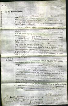 Court of Common Pleas - Ellen Briggs-Original Ancestry