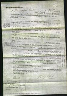 Court of Common Pleas - Mary Smith-Original Ancestry