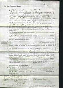 Court of Common Pleas - Maria Elwis-Original Ancestry