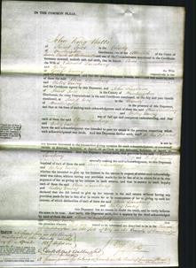 Court of Common Pleas - Ann Lansbury and Betsy Emery-Original Ancestry