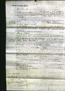 Court of Common Pleas - Clara Sophia Adams-Original Ancestry