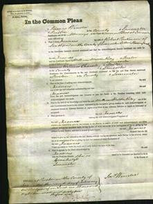 Court of Common Pleas - Frances Parkinson-Original Ancestry