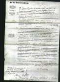 Court of Common Pleas - Mary Thomas-Original Ancestry