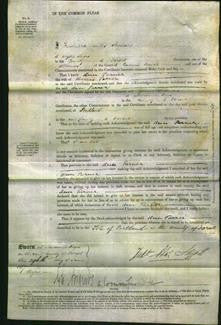 Court of Common Pleas - Ann Turner-Original Ancestry