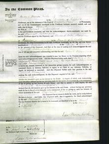 Court of Common Pleas - Harriet Bloomfield-Original Ancestry