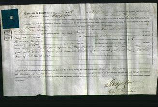 Deed by Married Women - Sophia Benson and Sussannah Hocken-Original Ancestry