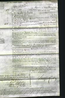 Court of common Pleas - Sophia Benson and Sussannah Hocken-Original Ancestry