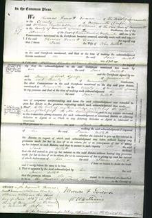 Court of Common Pleas - Jane Millett-Original Ancestry