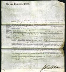 Court of Common Pleas - Elizabeth Austin-Original Ancestry