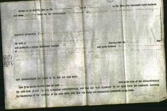 Deed by Married Women - Caroline Charlotte Spagnoletti-Original Ancestry