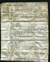 Court of Common Pleas - Sarah Diplock-Original Ancestry