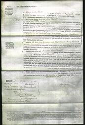 Court of Common Pleas - Harriette Scott Russell-Original Ancestry