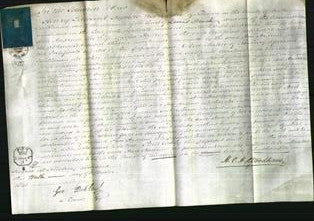 Court of Common Pleas - Ann Andrews-Original Ancestry