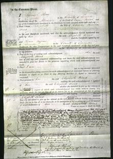 Court of Common Pleas - Elizabeth Wood-Original Ancestry